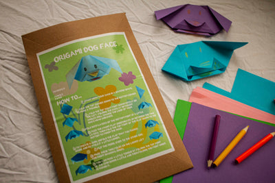 Mini Craft Birthday Kit - Dog Face Origami Kit